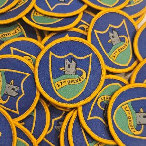 17th Dalkey Group Badge